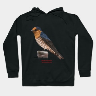 Pacific Swallow | Hirundo tahitica Hoodie